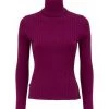 Groothandel π Jijil Coltruien Turtlenecks Purple π 1 Groothandel π Jijil Coltruien Turtlenecks Purple π -Goedkope JACQUELINE winkel e21a29b1ec631f03e5dffa924985e312
