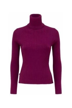 Groothandel 🛒 Jijil Coltruien Turtlenecks Purple 🔔